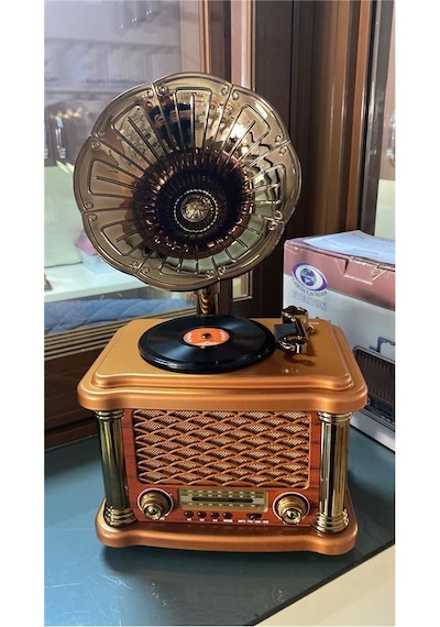 Everton Rt-586 Bluetooth Fm-usb-tf-aux Şarjlı Nostaljik Radyo