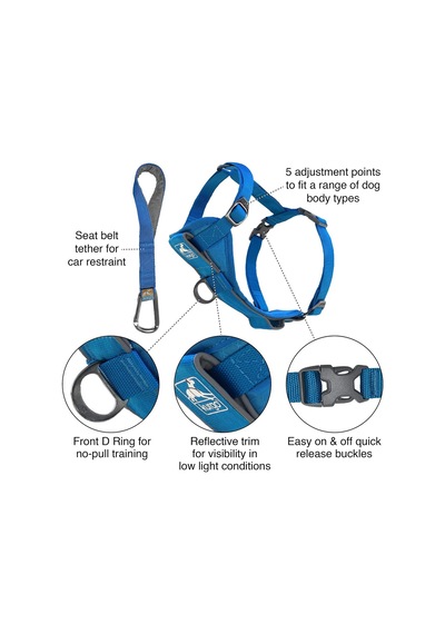 Köpek Koşum Takımı Evcil Hayvan Yürüyüş Koşumu No Pull Harness Ön Klips Fonksiyonu Antrenman İçin Dahil