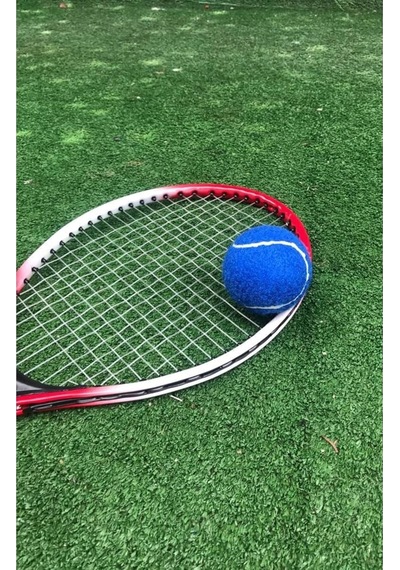 1 Adet Antrenman Tenis Topu Mavi, Tek Ebat, Wrkn01mv, Mavi