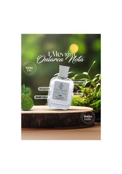 E-051 Aromatik Fougere Erkek Parfüm Edp Uzun Süre Kalıcı 50 Ml