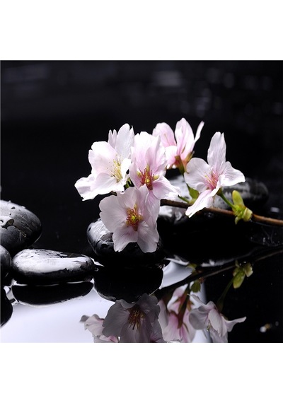 Spa Taşları Ve Kiraz Çiçeği Doğal Taş Bardak Altlığı 4'lü Set - Natural Stone Coasters - Taş Çok Renkli