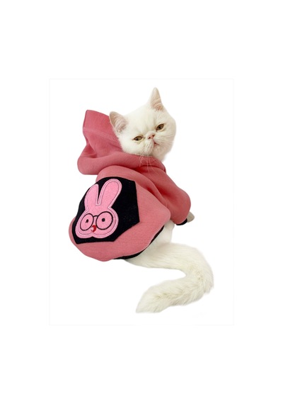 Student Rabbit Sweatshirt Kedi Kıyafeti Kedi Elbisesi Student Rabbit Sweatshirt Kedi Kıyafeti Kedi Elbisesi