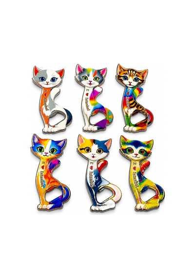 1 Adet Buzdolabı Süsü Kedi Tasarımlı İstanbul Temalı Magnet, Fridge Magnet, Dekoratif Tasarım 14 7 Cm