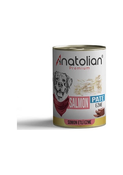 Premium Somonlu Ezme Yetişkin Köpek Konservesi 400 Gr
