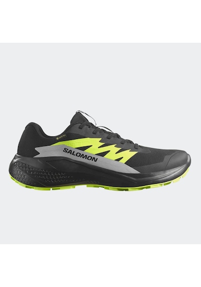 Salomon L47802000 Alphaglide Gore-tex Erkek Koşu Ayakkabısı Renkli