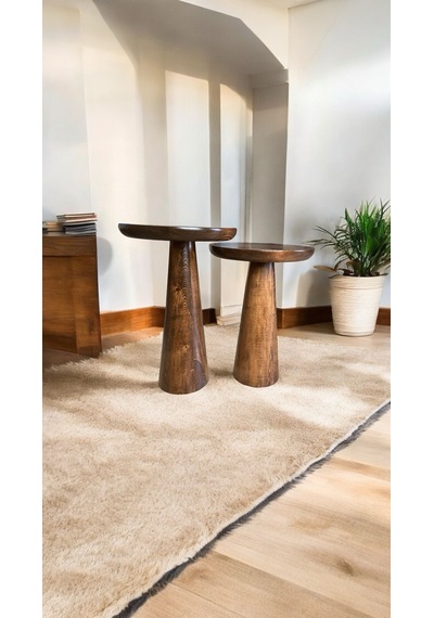 Wood Ahşap 2'li Set Konik Mantar Yan Sehpa / Ceviz Renk