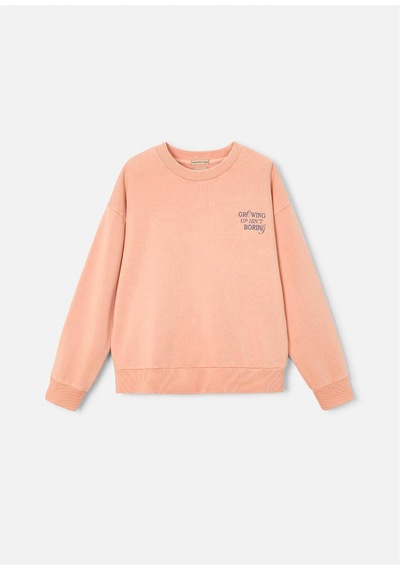 The Boston Kids Erkek Çocuk Baskılı Sweatshirt Somon 6421