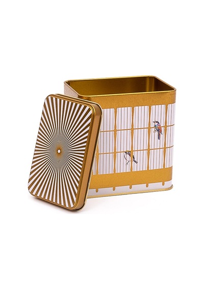 Bird Cage Desenli Dikdörtgen Metal Saklama Kabı 8 x 12 x 12 1 L Çok Renkli