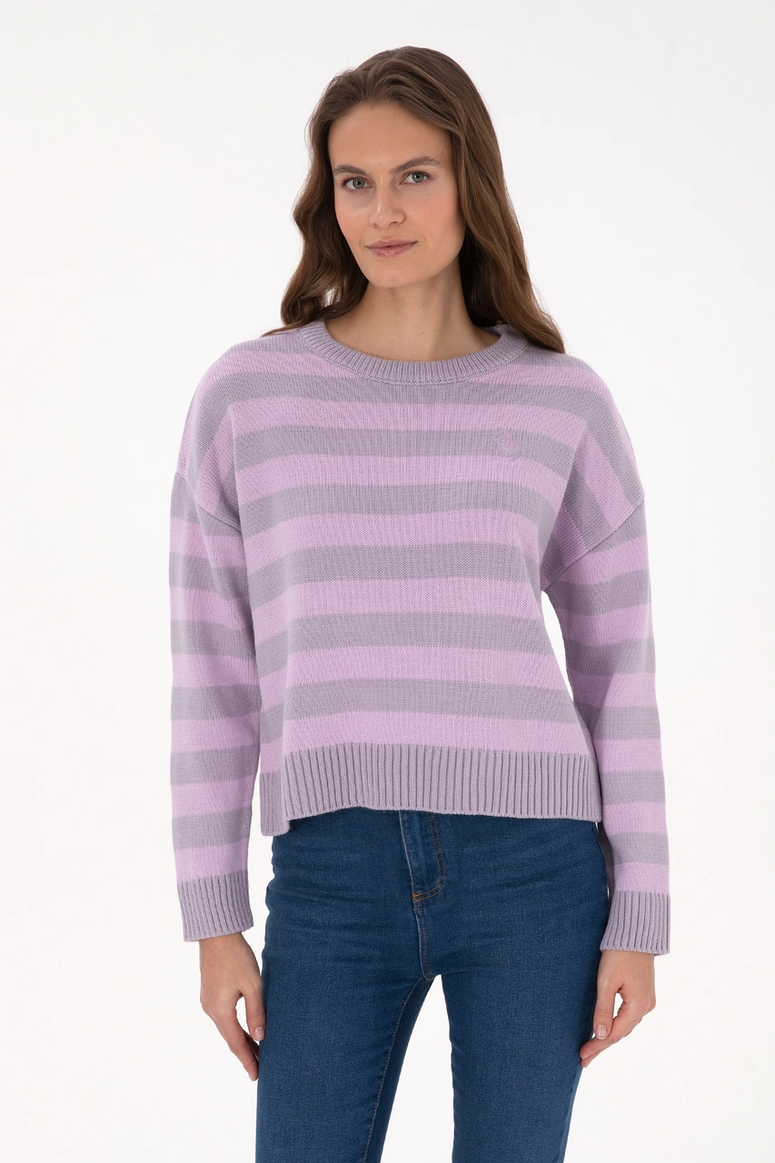 U.S. Polo Assn. Kadın Mor Çizgili Bisiklet Yaka Kazak 50314653-VR245