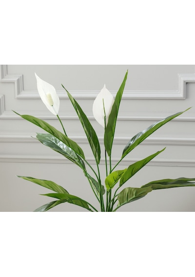 Madame Coco Broche Saksılı Bitki 1kcıck1749 58cm-std