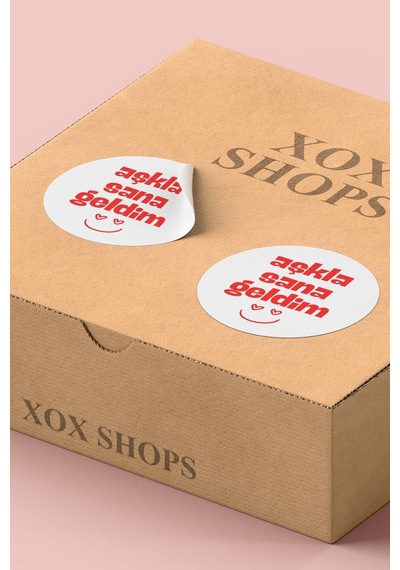 Aşkla Sana Geldim Sticker 3x3cm St2263 Çok Renkli