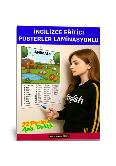 İngilizce Eğitici Posterler Delikli Lamine Edilmiş A3 22 Adet