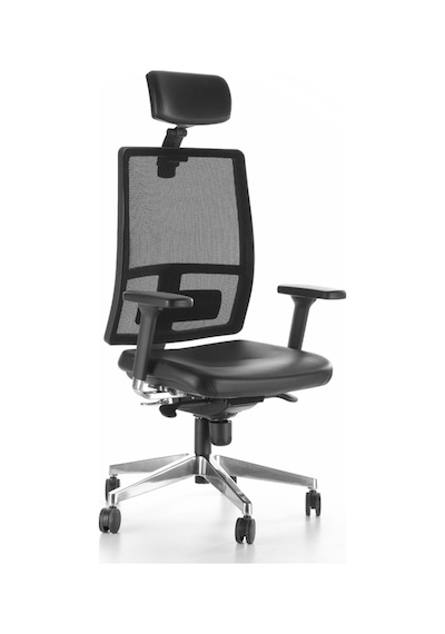 Rapido WORK Fileli Ergonomik Yönetici Koltuğu Rapido WORK Fileli Ergonomik Yönetici Koltuğu