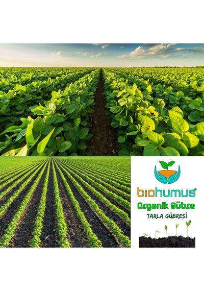 Biohumus Tarla İçin, Organik Gübre, Organik Sertifikalı, Kök Geliştirici, Toprak Düzenleyici, Bitki Besleyici 25 Kg 1 Sku: Smgstk8242544e91
