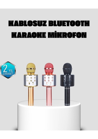 Hubrendy Tekno Taşınabilir Karaoke Mikrofon Bluetooth, Usb Ve Aux Girişli