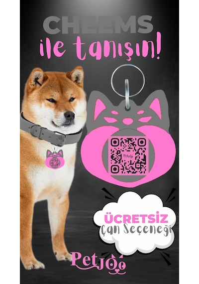 Petjoo 18.Cheems Pembe-Gri Qr'lı Köpek Künyesi