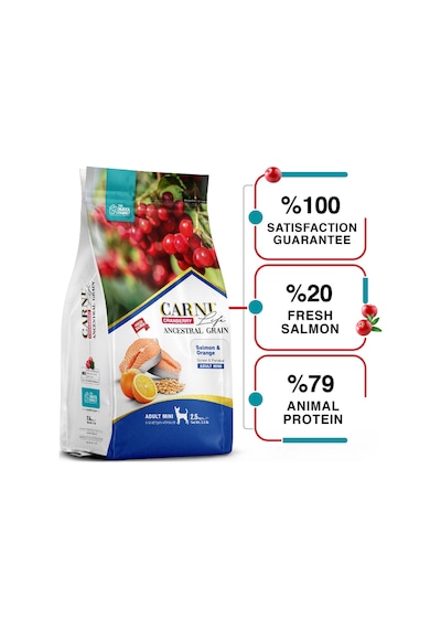 Carni Life Cranberry Ancestral Grain Salmon & Orange Mini Yetişkin Köpek Maması 2500 G