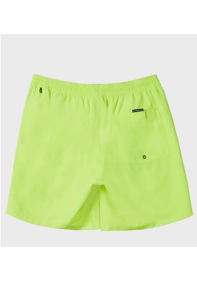 Quiksilver Quıksılver Everyday Solıd Volley 15 Erkek Şort Aqyjv03153-qk.yhj0 001