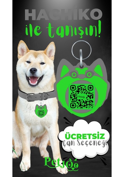 Petjoo 19.Hachiko Yeşil-Gri Qr'lı Köpek Künyesi