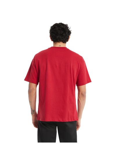 Beşiktaş Galatasaray Orijinal Lisanslı Uv Aslan Baskılı Gs Logo Kırmızı Erkek T-shirt KIrmızı