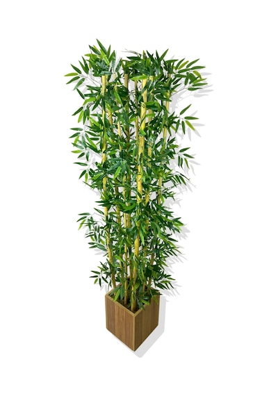 Cihan Çiçekçilik Bambu Yapay Ağaç 200 Cm 9 Adet Ahşap Saksıda Beyaz- Yeşil