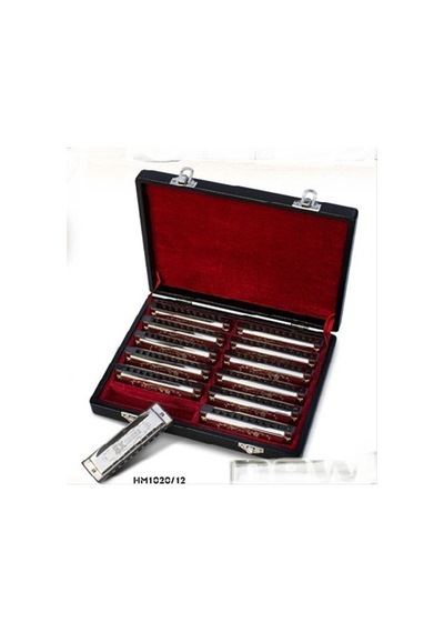 Valencıa Hm1020-12 Mızıka Set 12' Li Mızıka Set 12 Li