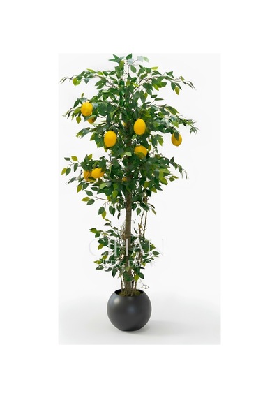 10 Limonlu Yapay Limon Ağacı 180 Cm Küre Saksılı Beyaz
