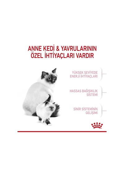 Mother & Baby Cat 34 Anne Ve Yavru Kedi Maması 2 Kg