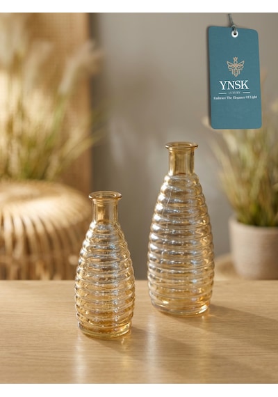 2 Li Minimalist Cam Vazo Seti Dekoratif Modern Masa Üstü Vazo Çiçeklik Bal