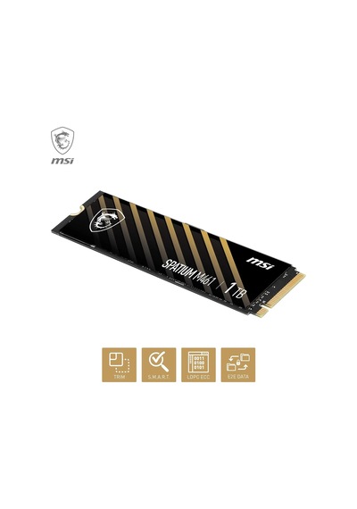 Spatıum M461 Pcıe 4.0 Nvme M.2 1tb Ssd