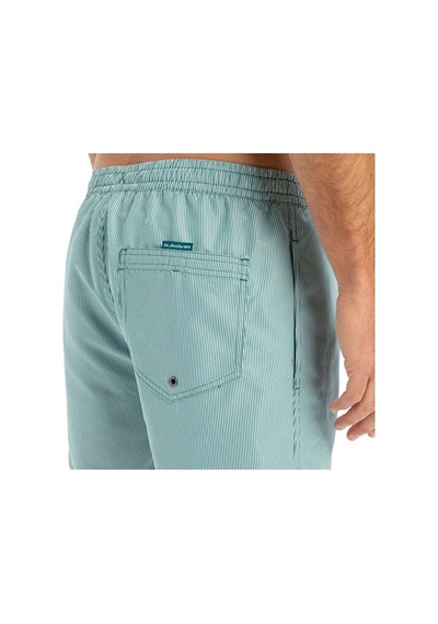 Quiksilver Everyday Deluxe Volley 15 Erkek Şort Mayo Eqyjv04101-21882 Yeşil Yeşil