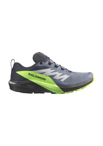 Salomon Sense Rıde 5 Gtx Gri Yürüyüş Ayakkabısı Gri