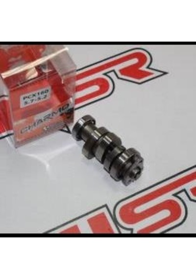 Honda Pcx 125 2021-2024 15.1 Gram 15x20 Ön Varyatör