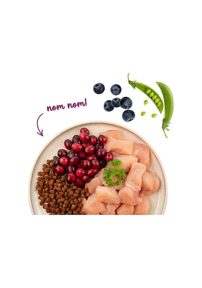 Sanabelle Senior Tavuklu Yaşlı Kedi Maması 8 Kg