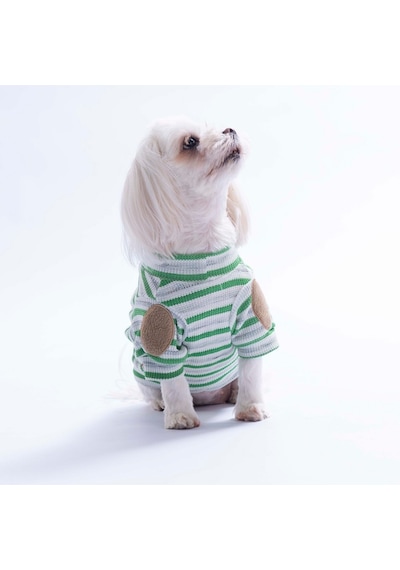 Yeşil Marseille Softline Çizgili Kedi Köpek Sweati Köpek Kıyafeti Kedi Kıyafeti