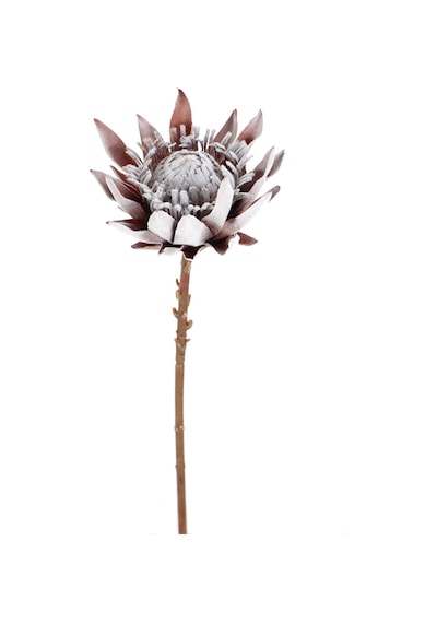 Yapay Çiçek Deposu Yapay Protea Bitkisi 52 Cm Gri-kızıl