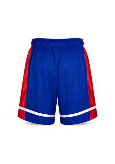 Champion Champıon Erkek Şort 207643-bs008 Çok Renkli