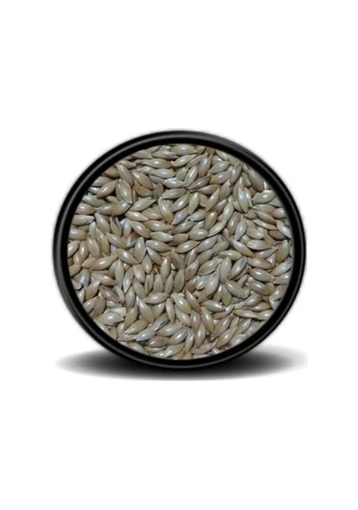 Pets Clup Sade Kanarya Yemi 500 G Açık
