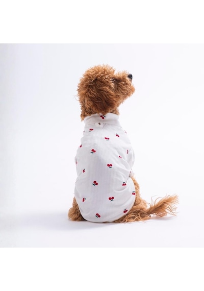 Summer Dreams Yaz Rüyası 3lü Sweat Set Kedi Köpek Sweati-kedi Köpek Kıyafeti