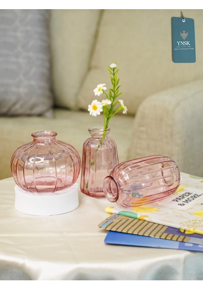 Chacha Home Modern 3'lü Minimalist Cam Çiçek Vazosu Dekoratif Masa Üstü Vazo Seti Açık Pembe