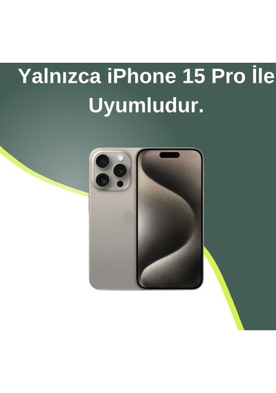 Apple Uyumlu iPhone 15 Pro Lens Korumalı Simli Kelebekli Çiçekli Kılıf