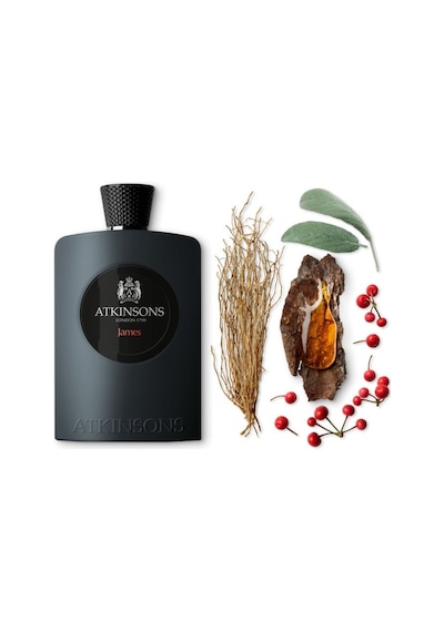 Atkinsons James Erkek Parfüm EDP 100 ML