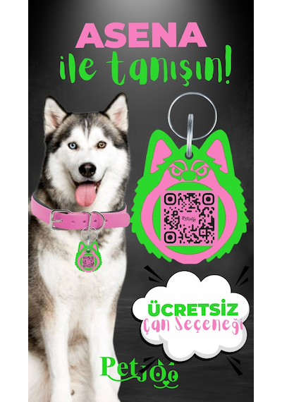 Petjoo 25.Asena Yeşil-Pembe Qr'lı Köpek Künyesi
