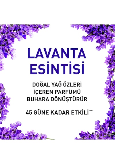 Air Wick Essential Mist Otomatik Hava Tazeleyici Kit Lavanta Esintisi