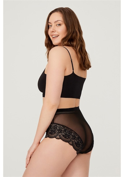 Cottonhill Dantel Detaylı Transparan Büyük Beden Bikini Külot 3'lü Paket Çok Renkli 1 Çok Renkli