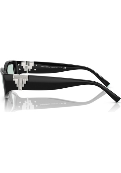 Tiffany Tf4234u 8001d9 55 Unisex Güneş Gözlüğü Siyah