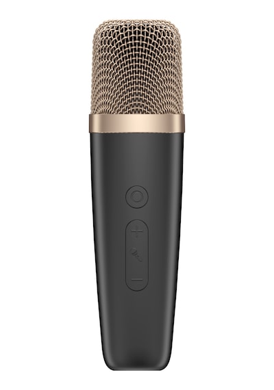 Havit Sk823bt Mikrofonlu Bluetooth Hoparlör Retro Tasarım, Kablosuz Bt V5.3 Karaoke