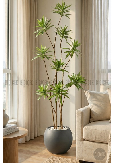 Biçiçek Yapay Dragon Bi̇tki̇si̇ 160 Cm Antresi̇t Küre Saksıda
