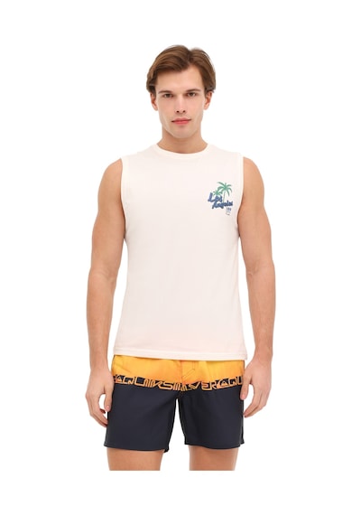 Quiksilver Everyday Half Jam 16 Bakır Rengi Erkek Şort 000000000102114500 Kahverengi