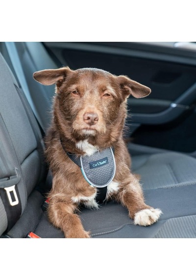 Company Of Animals Carsafe Köpek Harness Araba Seyahat Göğüs Tasması, Small Siyah Genel